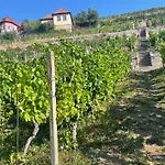 Holiday home Traminer Im Weinberg Freyburg