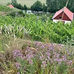 Traminer Im Weinberg Holiday home Freyburg