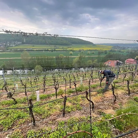 Traminer Im Weinberg בית נופש פרייבורג