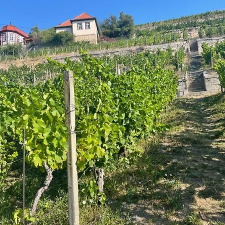 Vakantiehuis Traminer Im Weinberg Freyburg