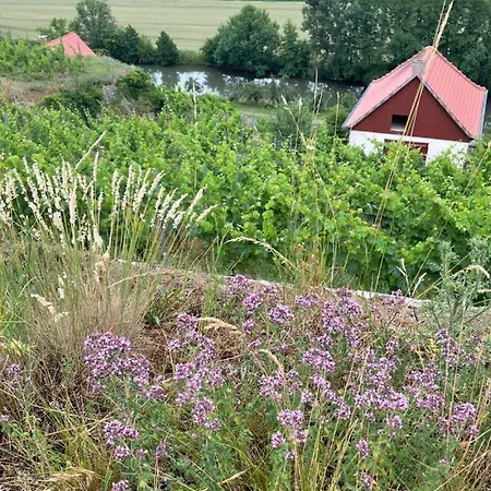 Traminer Im Weinberg Ferienhaus Freyburg (Unstrut)