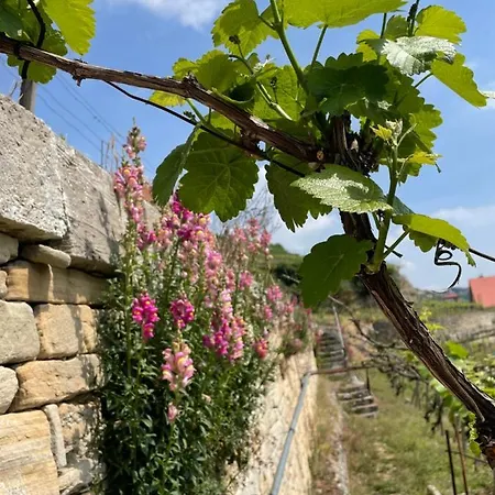 Traminer Im Weinberg Vakantiehuis *