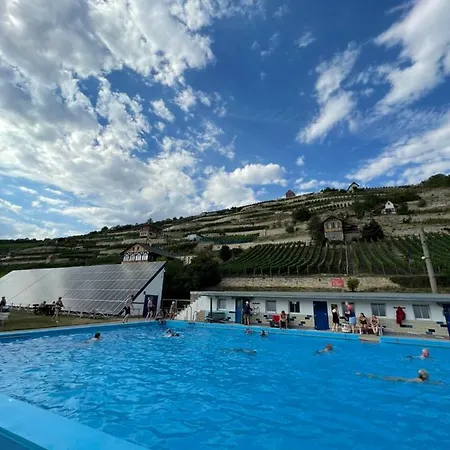 Traminer Im Weinberg Freyburg (Unstrut)