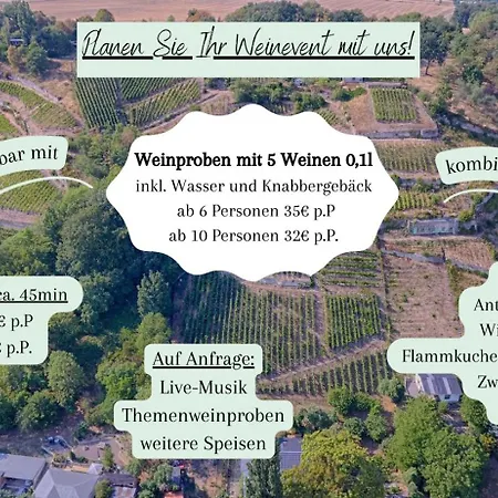 Traminer Im Weinberg Freyburg