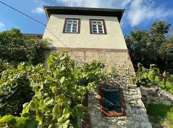 Traminer Im Weinberg *