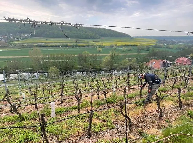 Traminer Im Weinberg Semesterbostad Freyburg