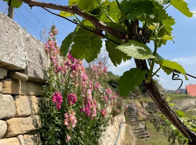 Traminer Im Weinberg Vakantiehuis *
