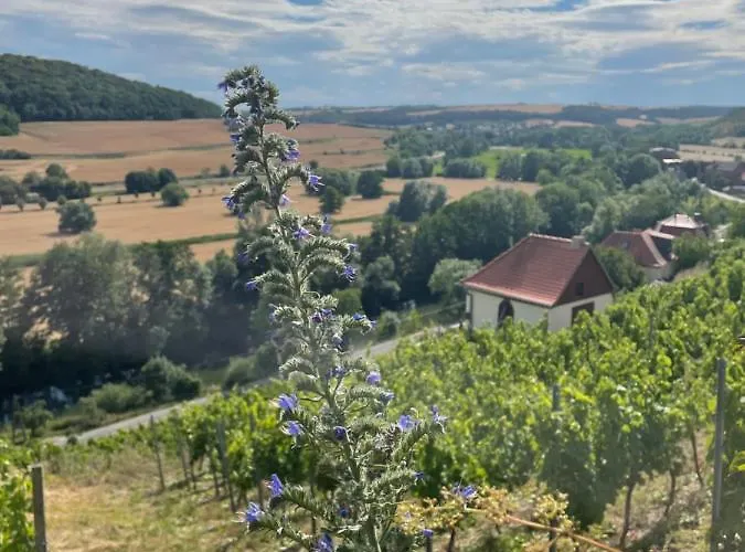 Vakantiehuis Traminer Im Weinberg *