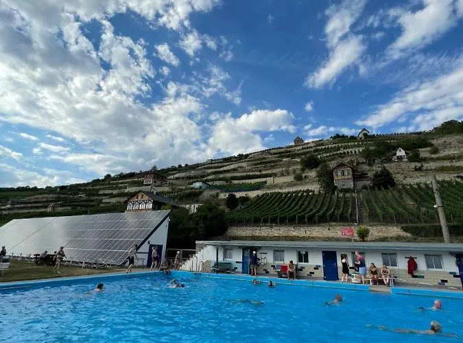 Traminer Im Weinberg Freyburg